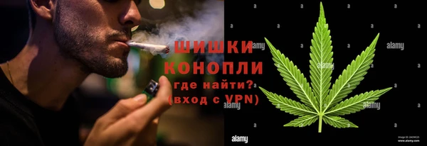 ALPHA PVP Богородицк