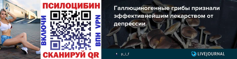 Галлюциногенные грибы Cubensis  Пионерский 